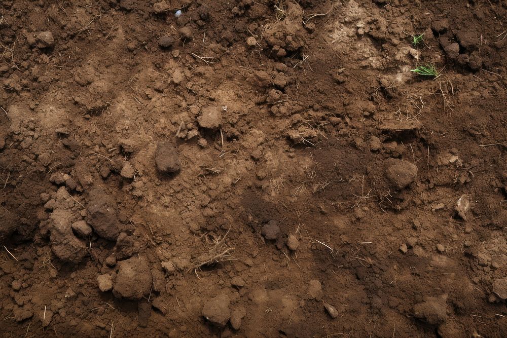 Soil texture outdoors nature land. AI generated Image by rawpixel.