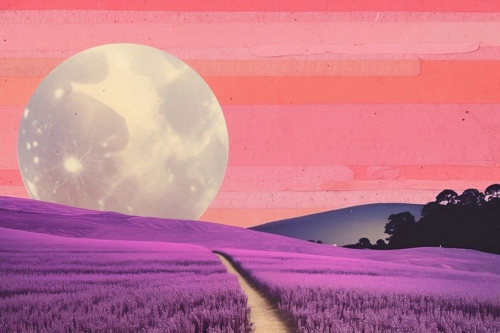 Lavender outdoors nature purple. AI generated Image by rawpixel.
