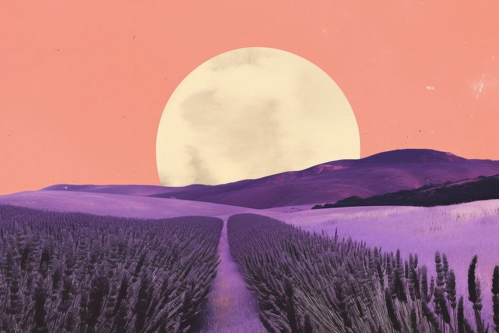 Lavender outdoors nature purple. AI generated Image by rawpixel.