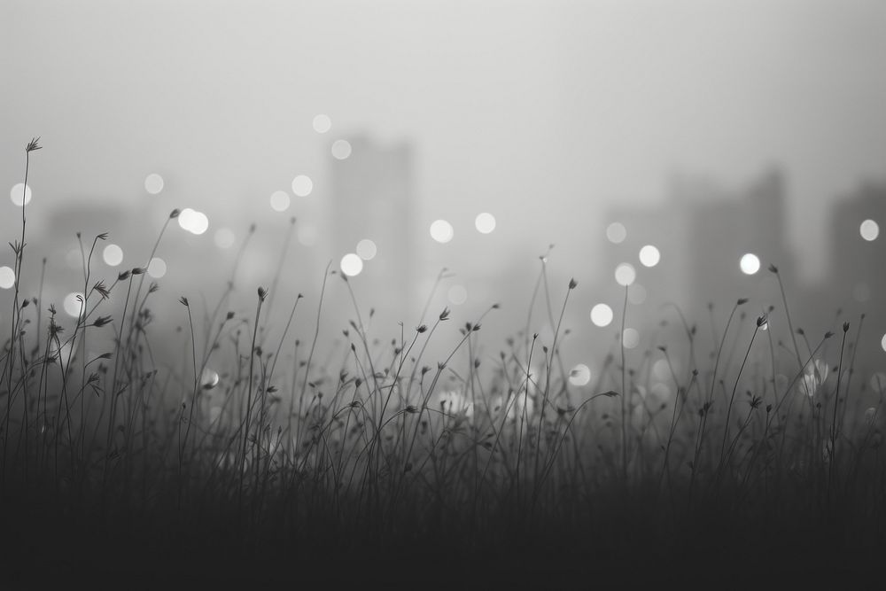 City lights bokeh backgrounds outdoors nature. AI generated Image by rawpixel.