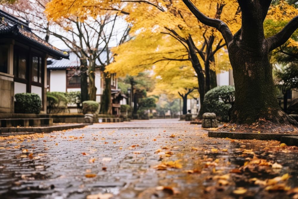 Kyoto temples autumn neighbourhood architecture. AI generated Image by rawpixel.