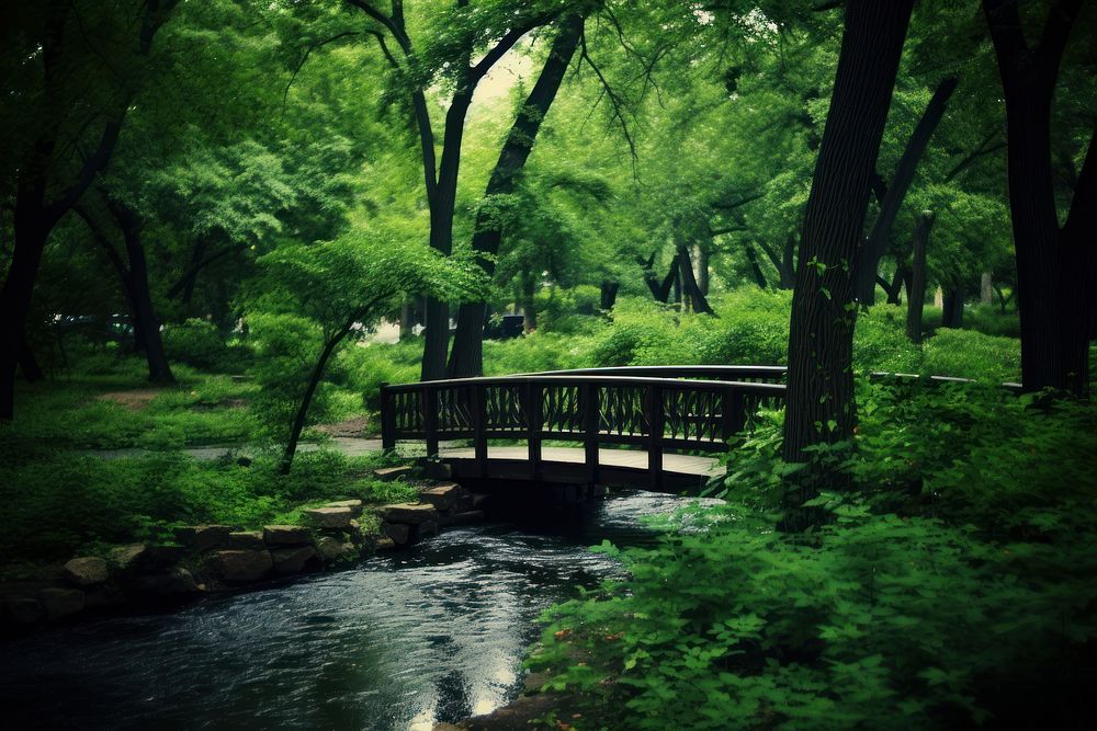 Japanese garden outdoors woodland nature. AI generated Image by rawpixel.