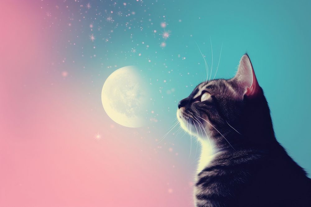 Moon astronomy outdoors animal. AI generated Image by rawpixel.