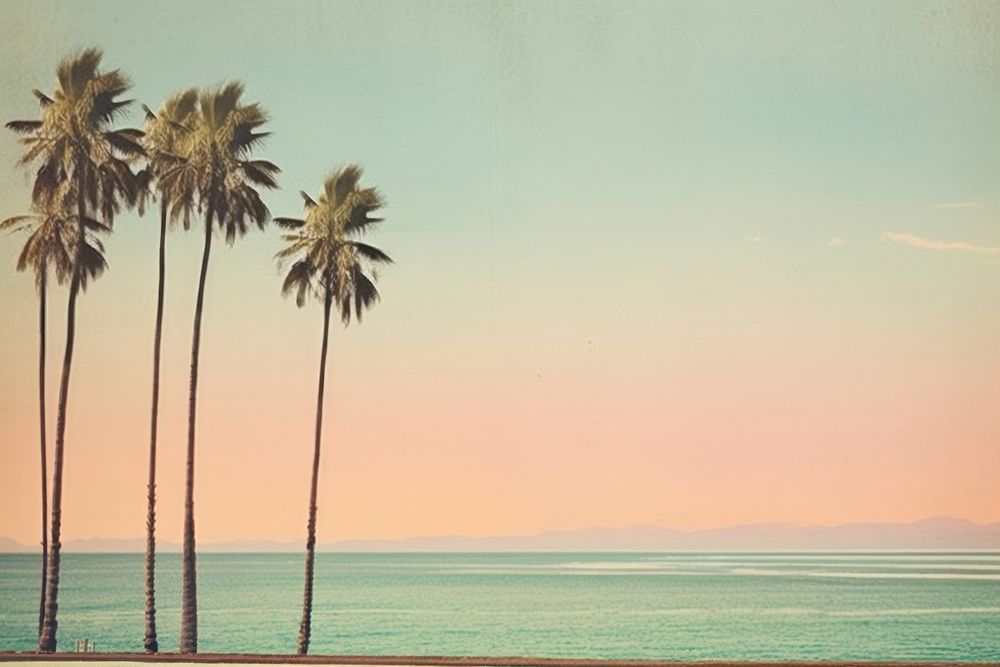 Beach tree landscape outdoors. AI generated Image by rawpixel.