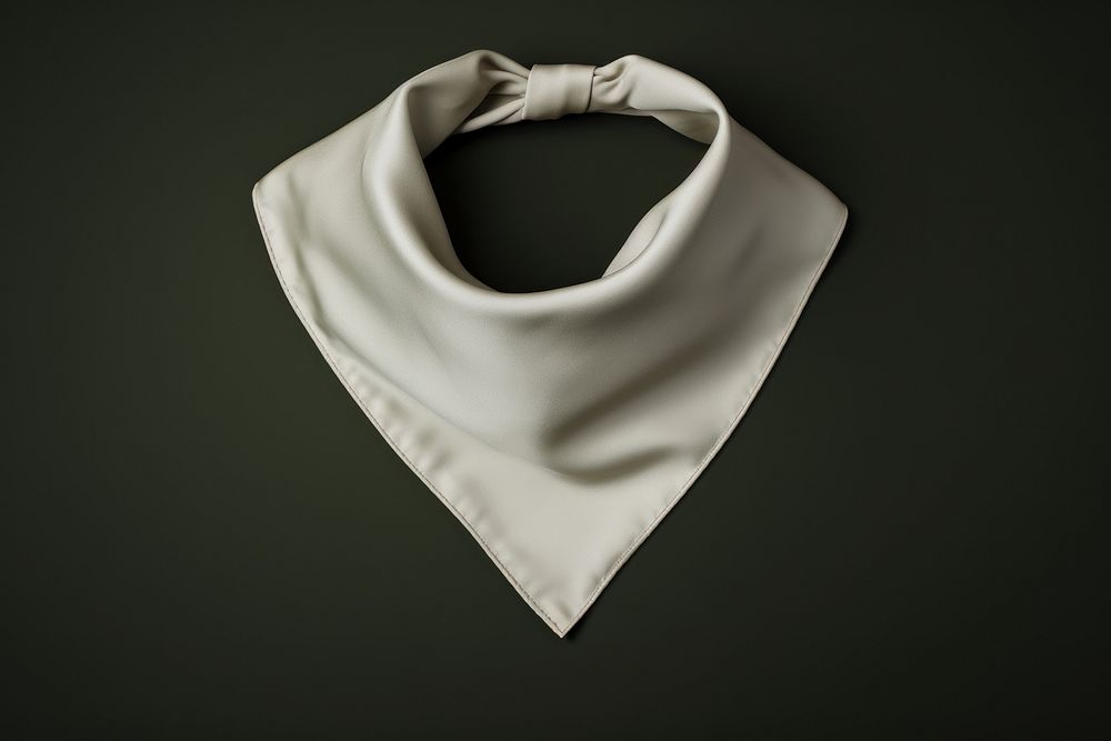 White pet bandana accessories accessory clothing. AI generated Image by rawpixel.