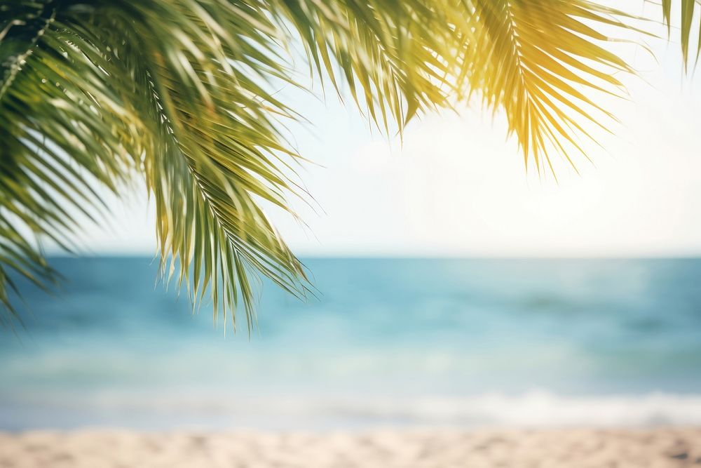 Summer background beach backgrounds outdoors. AI generated Image by rawpixel.