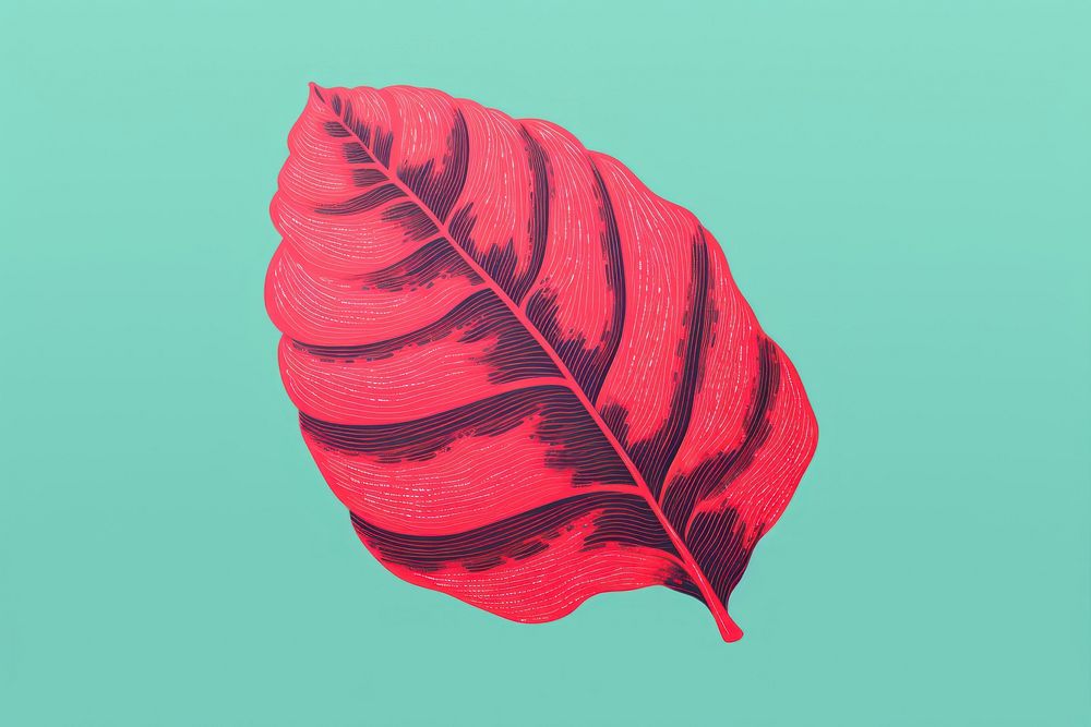 Leaf plant petal xanthosoma. AI generated Image by rawpixel.