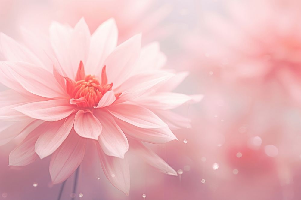 Pink flower nature backgrounds outdoors. AI generated Image by rawpixel.