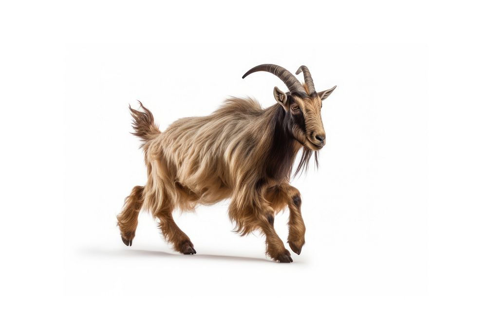 Goat livestock wildlife animal. AI generated Image by rawpixel.
