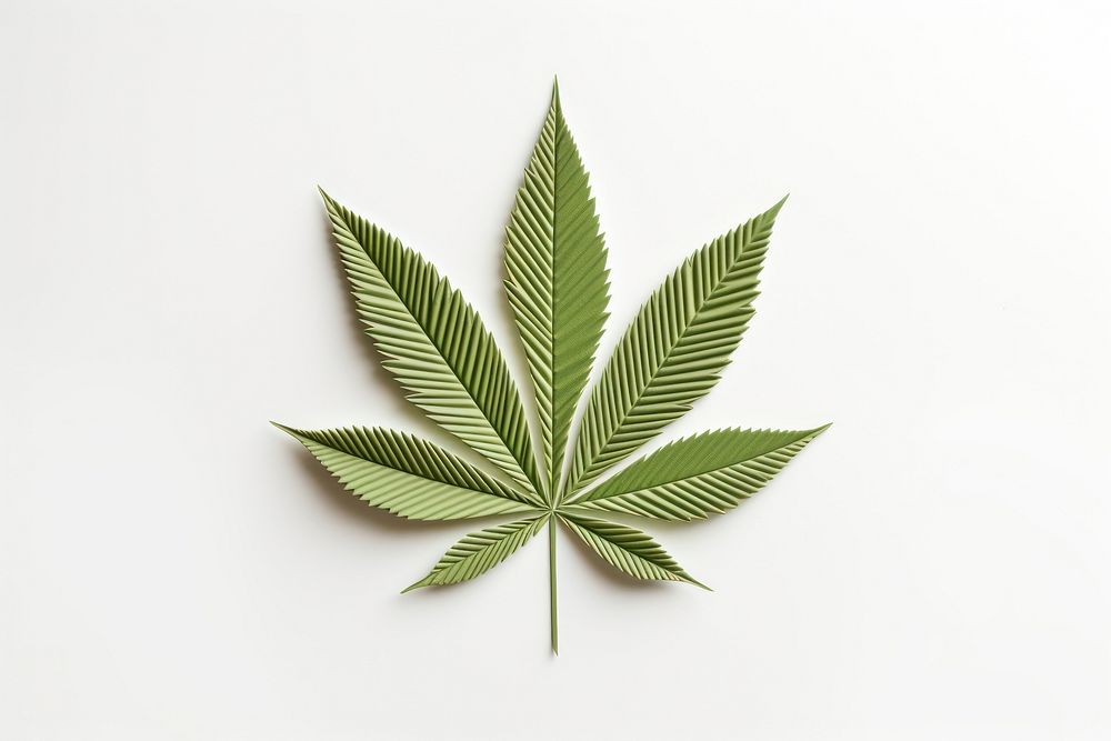 Leaf cannabis plant herbs. AI generated Image by rawpixel.