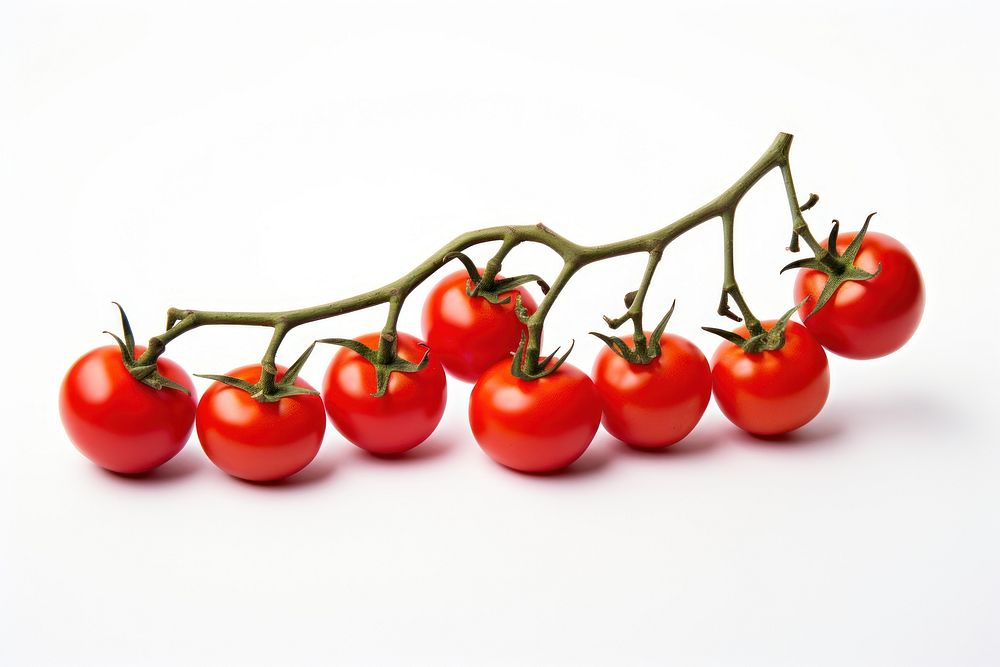 Red tomatoes food vegetable branch. 