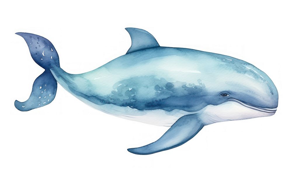 Cute whale dolphin animal mammal. AI generated Image by rawpixel.