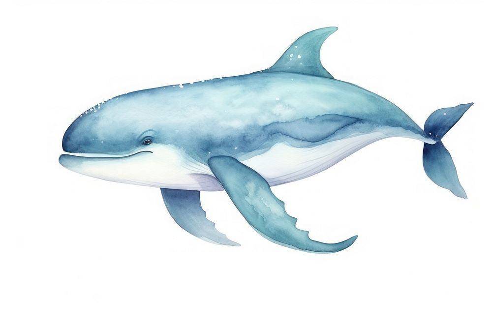 Cute whale dolphin animal mammal. AI generated Image by rawpixel.