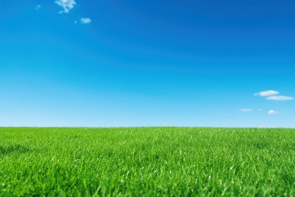 Perfect Green Lawn Backgrounds Outdoors | Premium Photo - Rawpixel