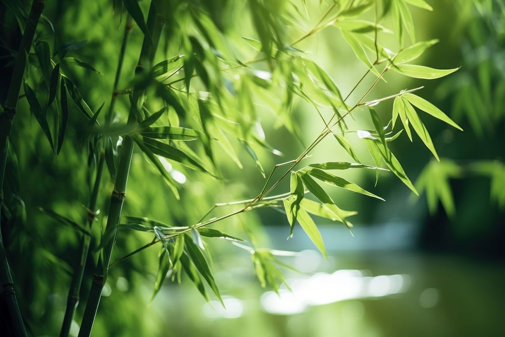 Bamboo forest plant leaf. AI generated Image by rawpixel.