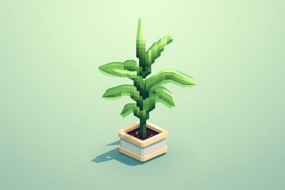 Plant houseplant flowerpot bonsai. AI generated Image by rawpixel.