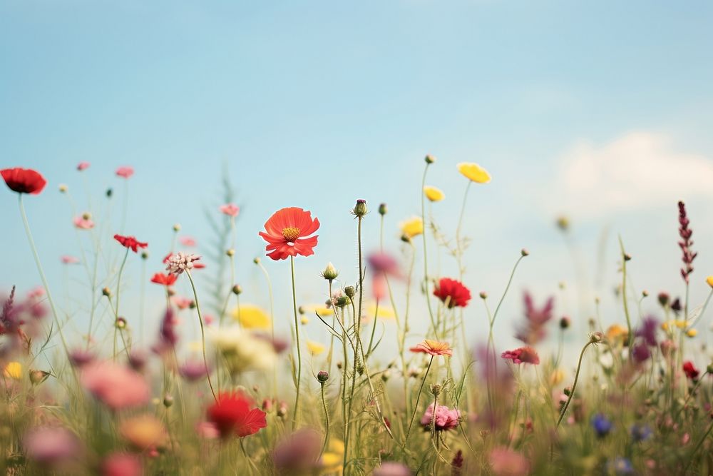 Wildflowers landscape grassland outdoors. AI generated Image by rawpixel.