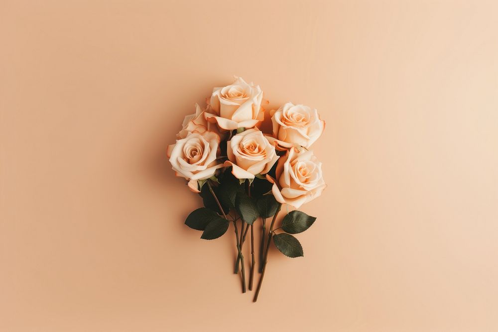 Rose flower plant peach. AI generated Image by rawpixel.