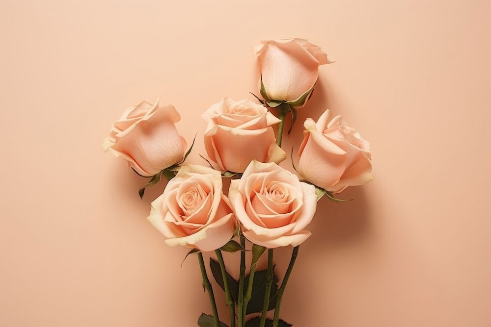 Aesthetic bouquet Peach roses flower petal plant. AI generated Image by rawpixel.
