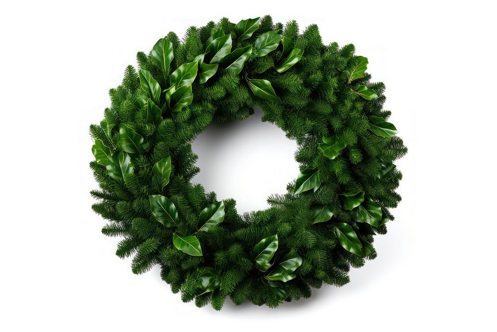 Green christmas wreath plant white background celebration. AI generated Image by rawpixel.