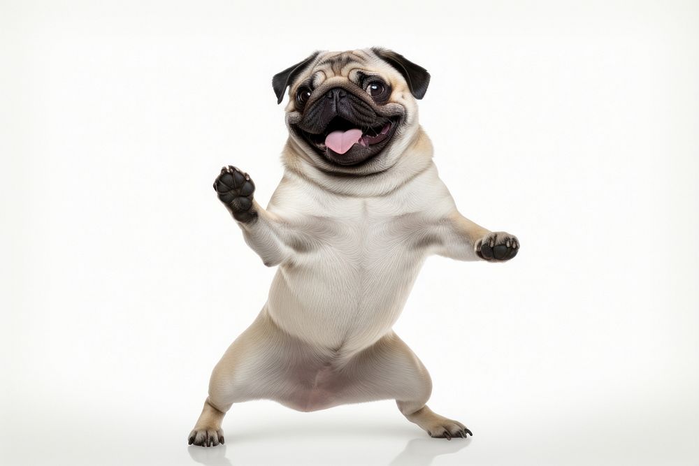 Happy smiling pug dance mammal animal pet. AI generated Image by rawpixel.
