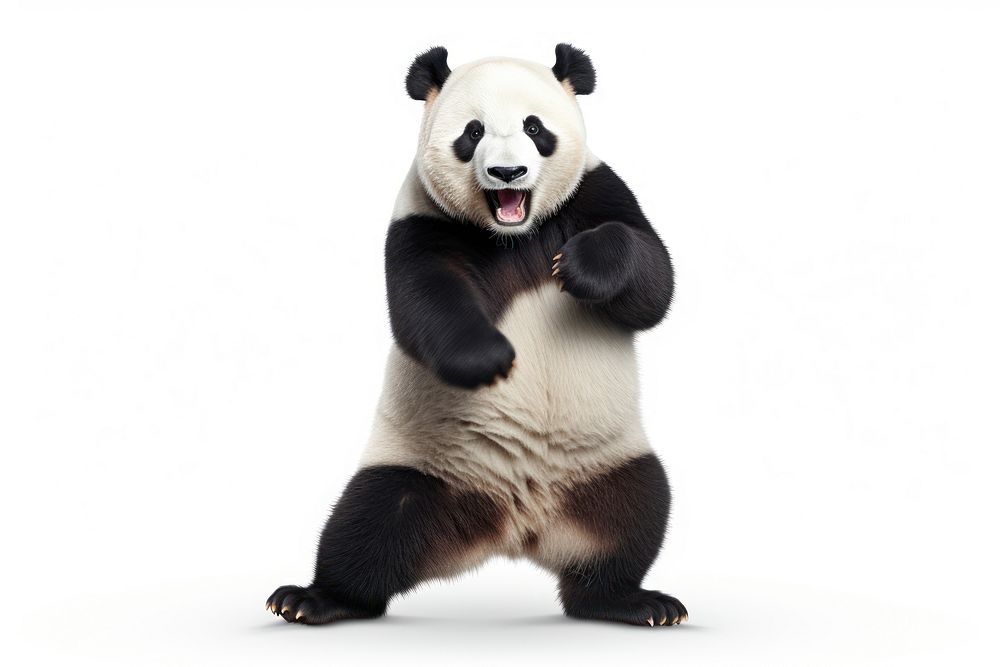 Happy smiling panda dancing wildlife | Free Photo - rawpixel