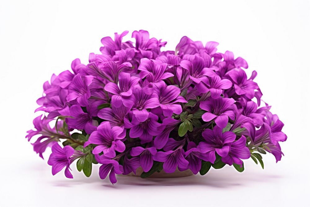 Flower purple petal lilac. AI generated Image by rawpixel.