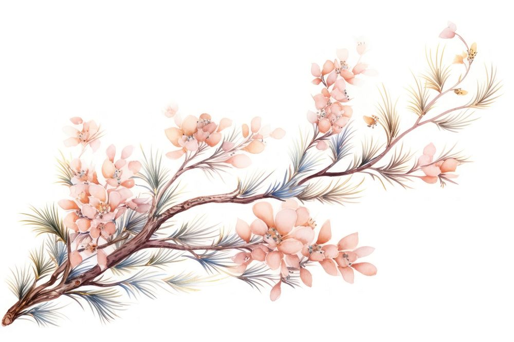 PNG Chinese pine tree branch blossom drawing flower. AI generated Image by rawpixel.