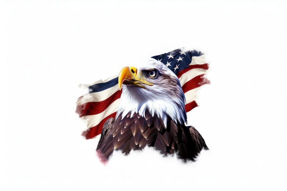 America flag eagle bird white background. AI generated Image by rawpixel.