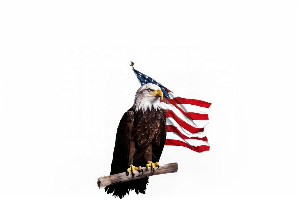America flag animal eagle bird. AI generated Image by rawpixel.