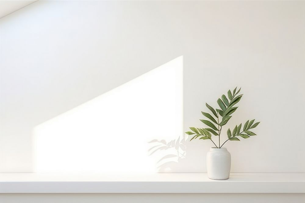 White background windowsill light plant. AI generated Image by rawpixel.