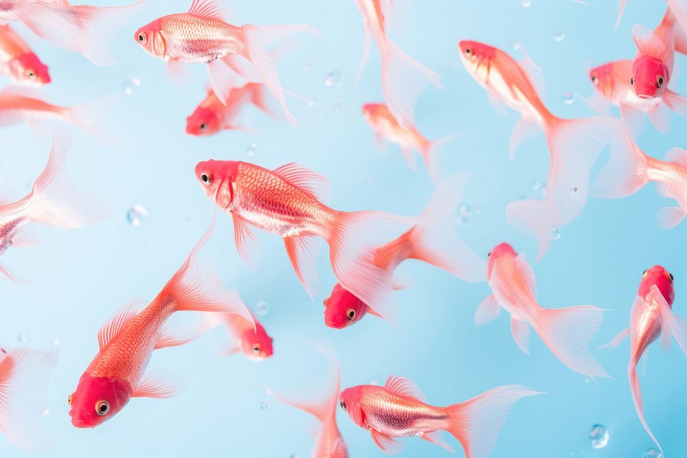 Fishs underwater goldfish animal. AI generated Image by rawpixel.