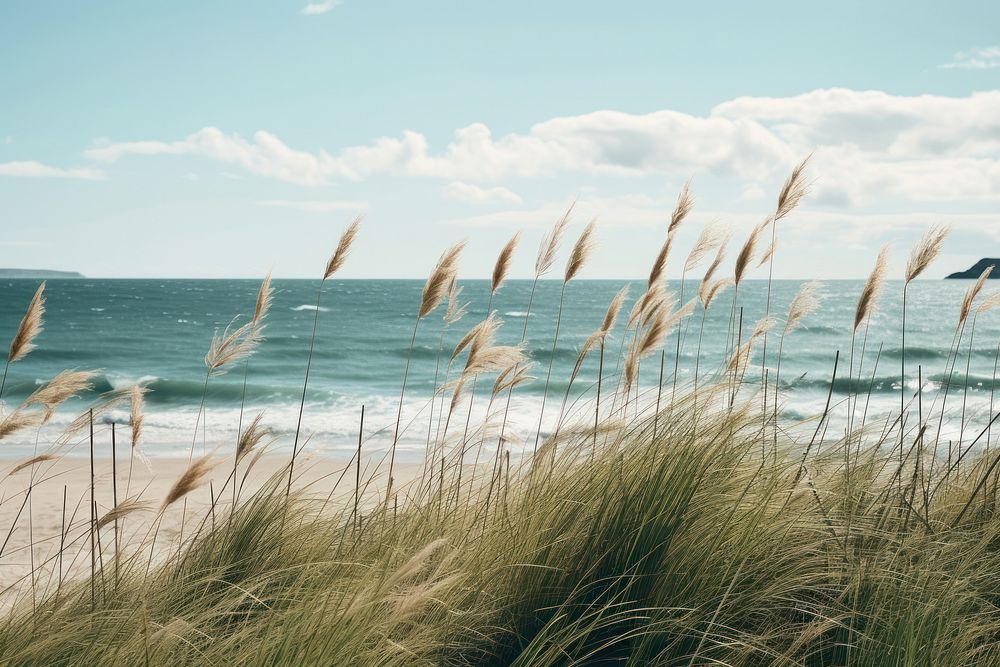 Sea outdoors horizon nature. AI generated Image by rawpixel.