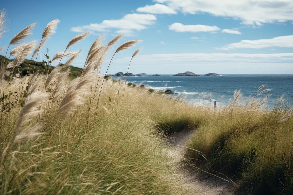 Sea grass landscape outdoors. AI generated Image by rawpixel.