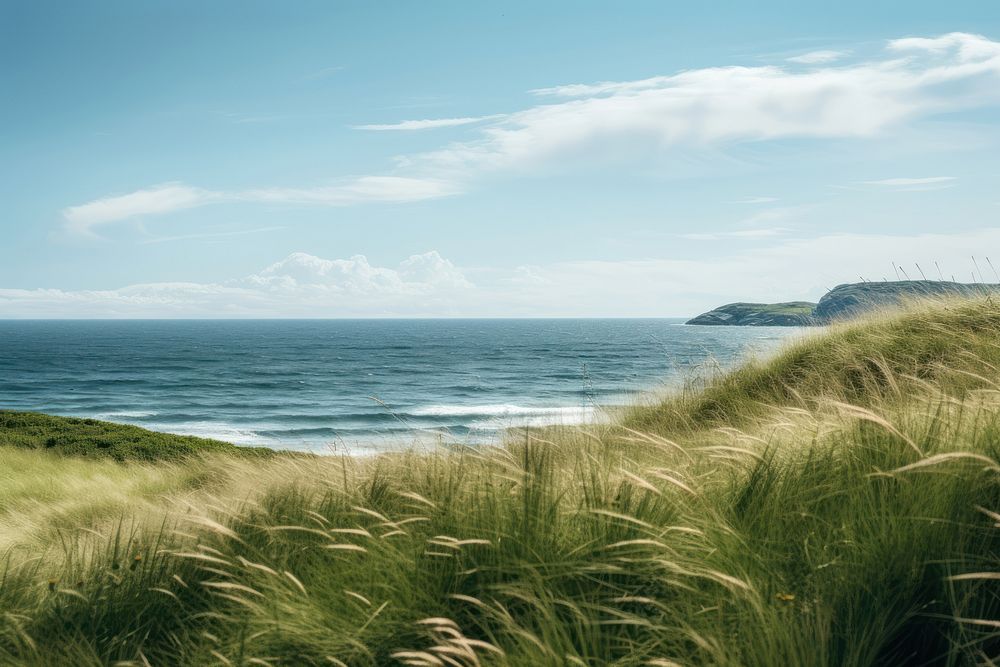 Sea grass landscape outdoors. AI generated Image by rawpixel.