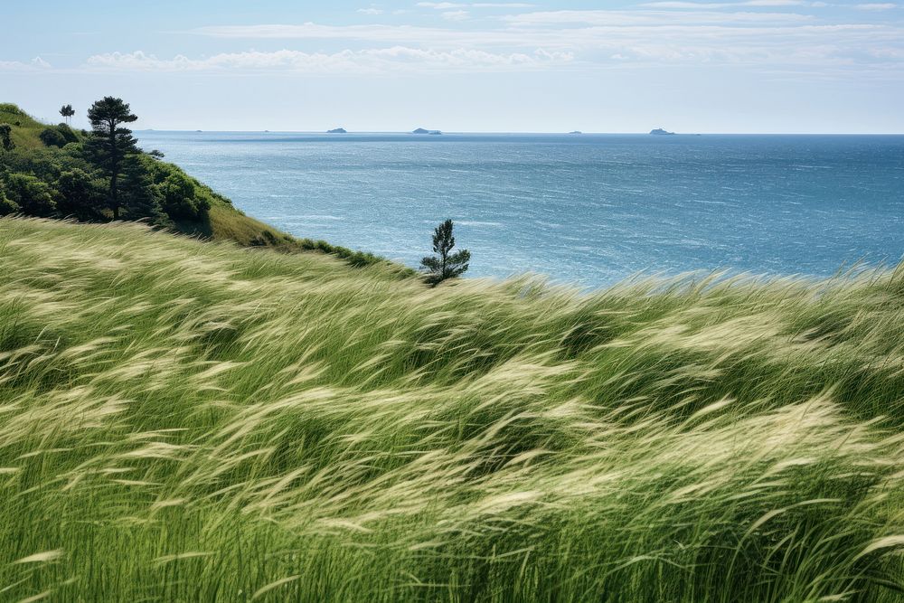 Sea grass landscape grassland. AI generated Image by rawpixel.