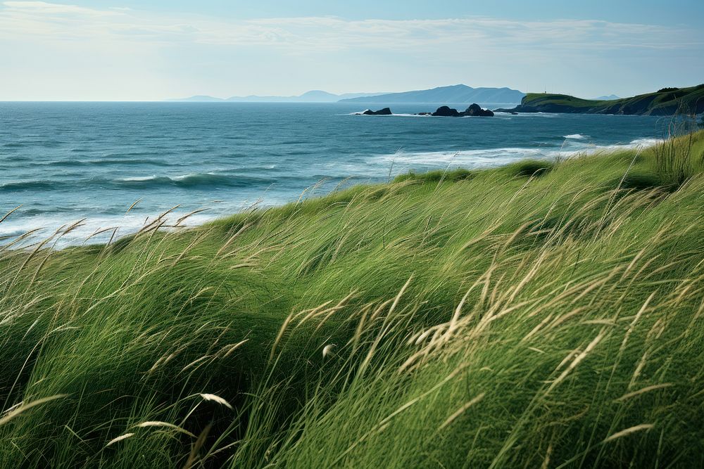 Sea grass landscape grassland. AI generated Image by rawpixel.