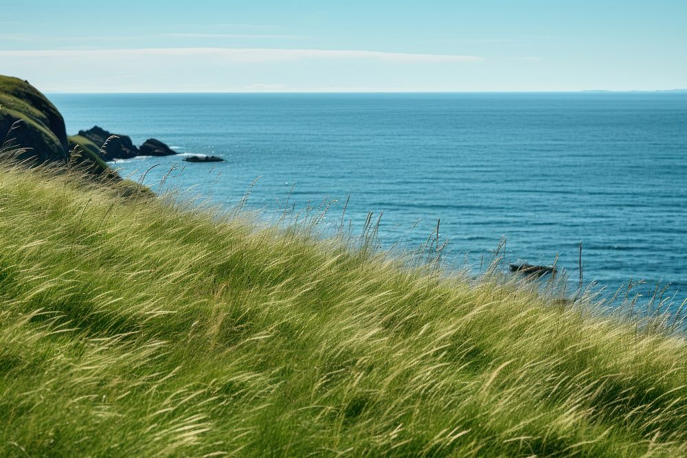 Sea grass promontory landscape. AI generated Image by rawpixel.
