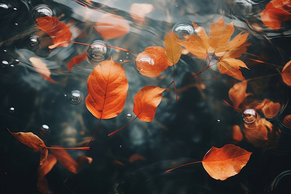 Leaves underwater outdoors nature. AI | Free Photo - rawpixel