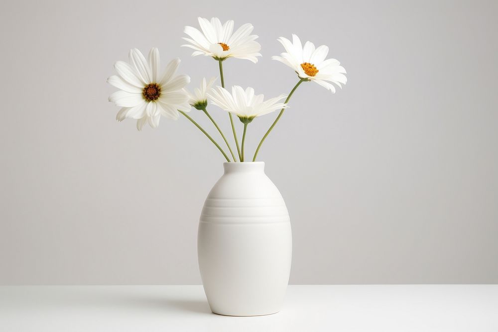 Aesthetic flower vase daisy plant white. AI generated Image by rawpixel.