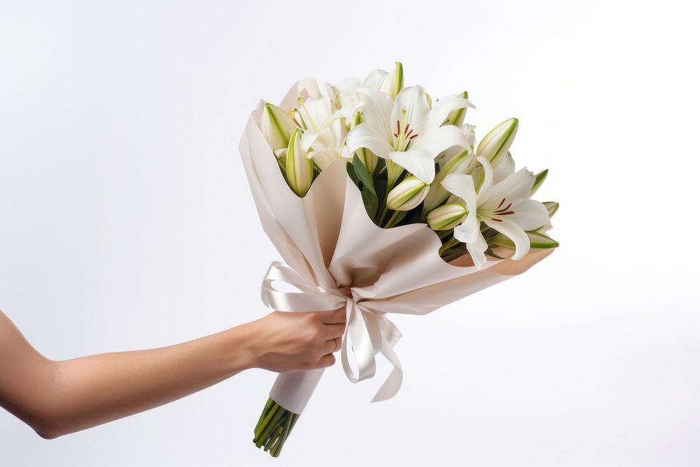 Lily flower wrapped holding. AI generated Image by rawpixel.