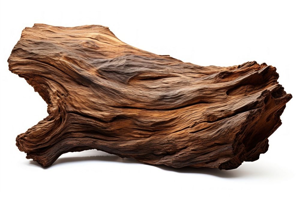 A wood bark driftwood plant tree. AI generated Image by rawpixel.