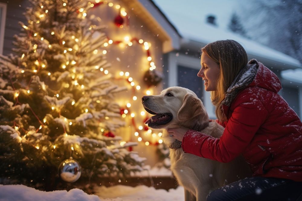 Christmas snow retriever outdoors. AI generated Image by rawpixel.