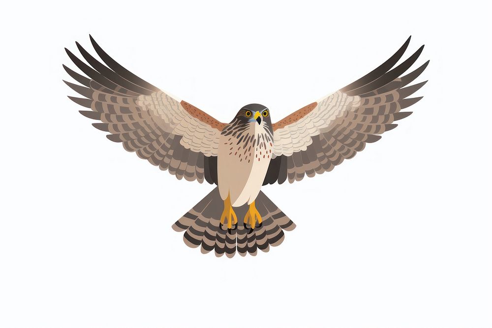 Sharp Shinned Hawk buzzard vulture animal. AI generated Image by rawpixel.