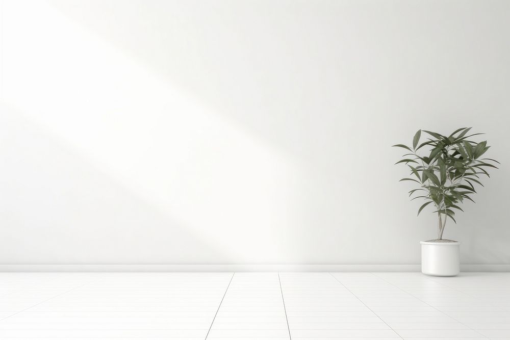 Abstract white photo background architecture plant vase. AI generated Image by rawpixel.