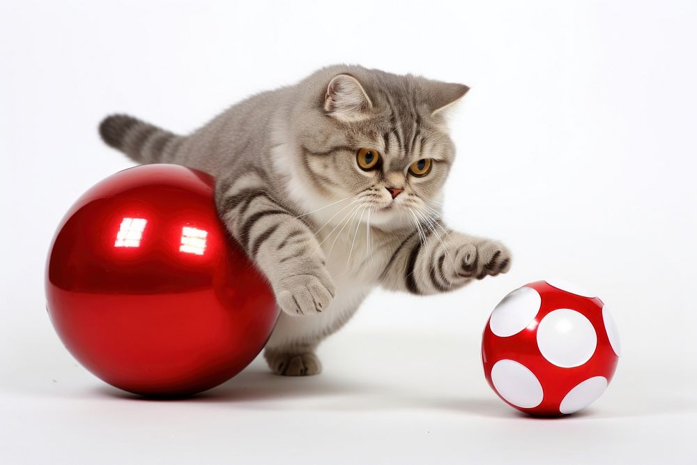 A chubby jumping cat ball mammal animal. AI generated Image by rawpixel.