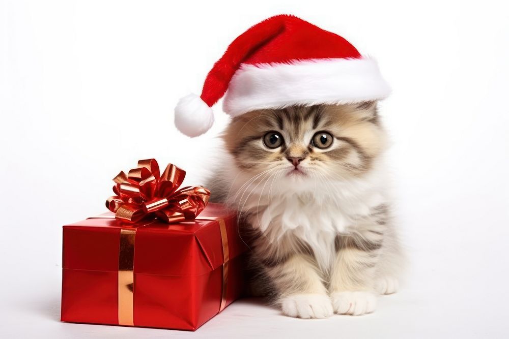 Gift christmas mammal animal. AI generated Image by rawpixel.