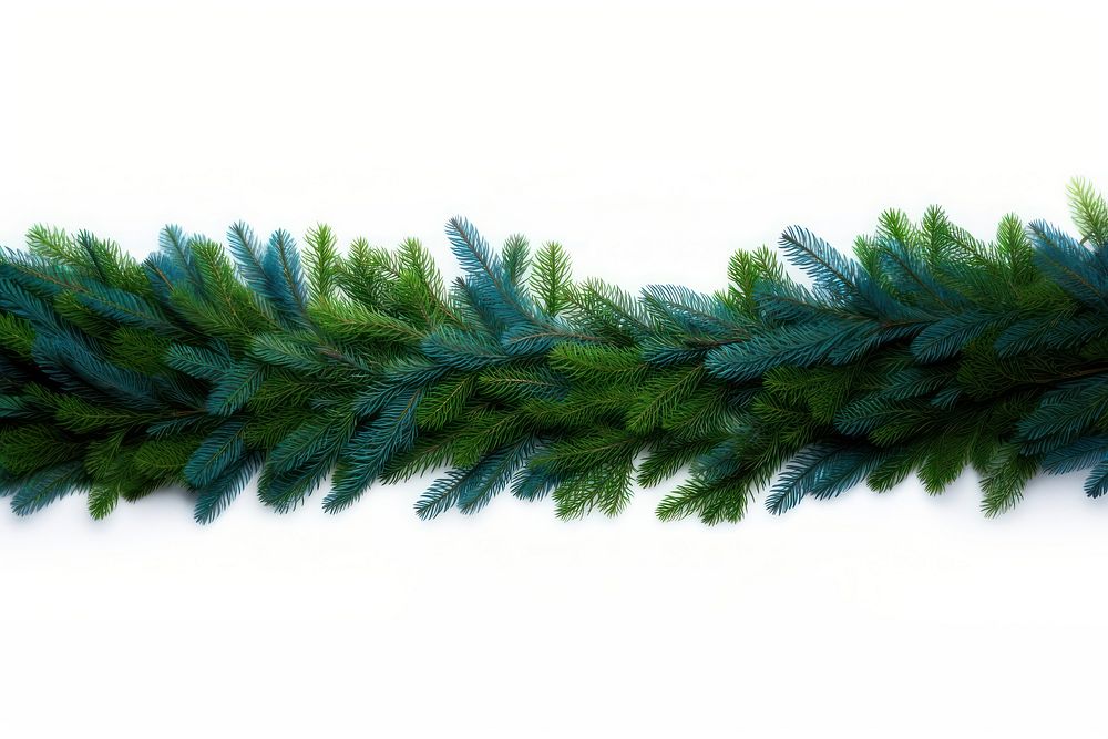 Fir spruce branch plant. AI generated Image by rawpixel.
