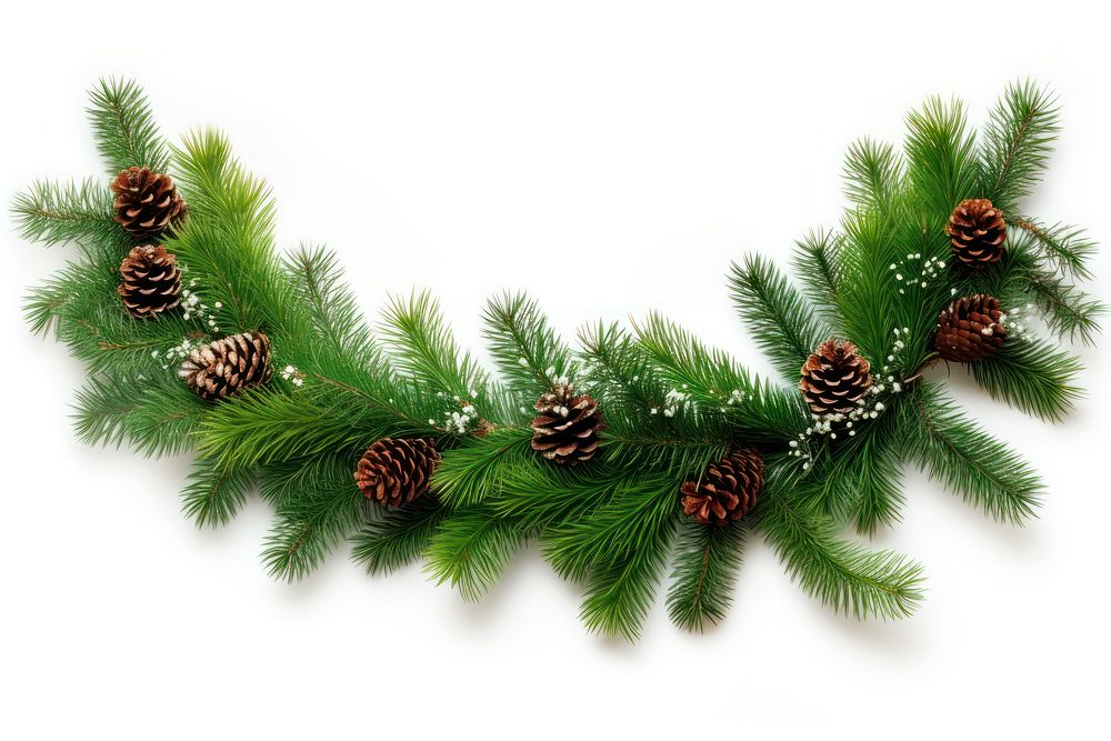 Christmas pine garland plant tree fir. AI generated Image by rawpixel.