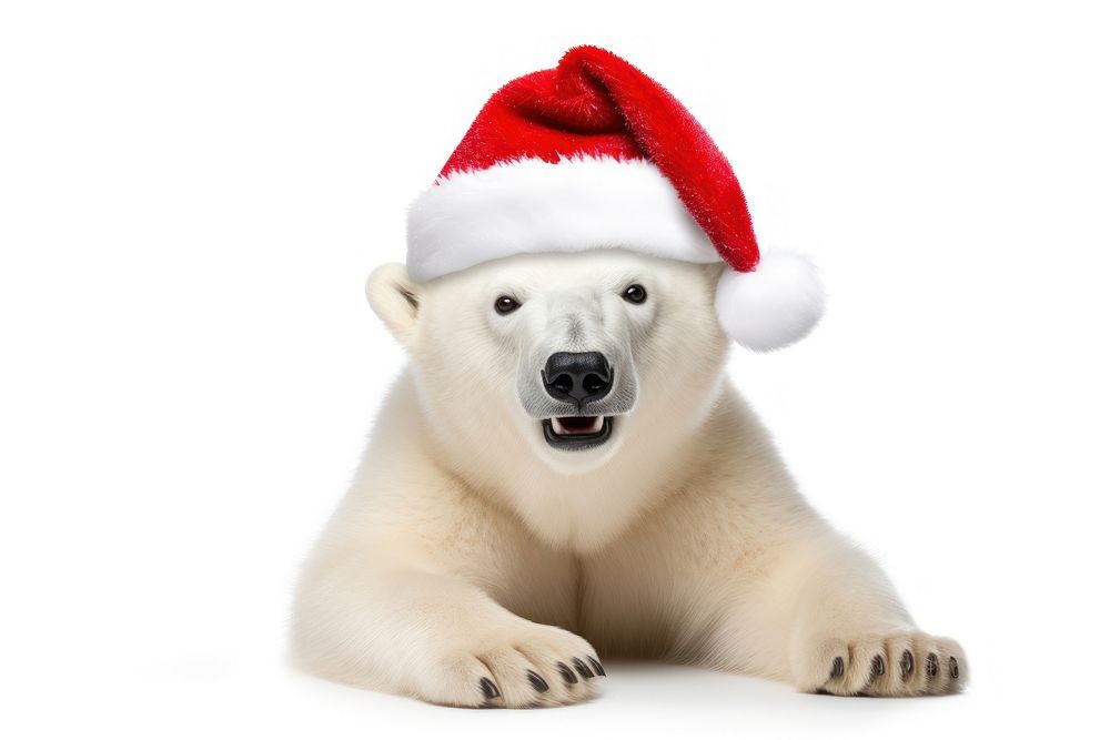 Smiling Polar bear wearing a Christmas hat christmas mammal animal. AI generated Image by rawpixel.